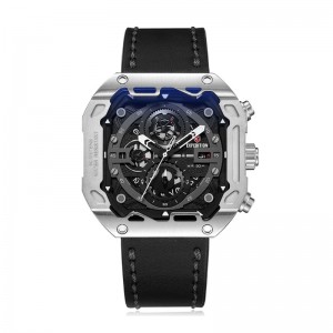 Expedition 6826 Silver Black MCLSSBA